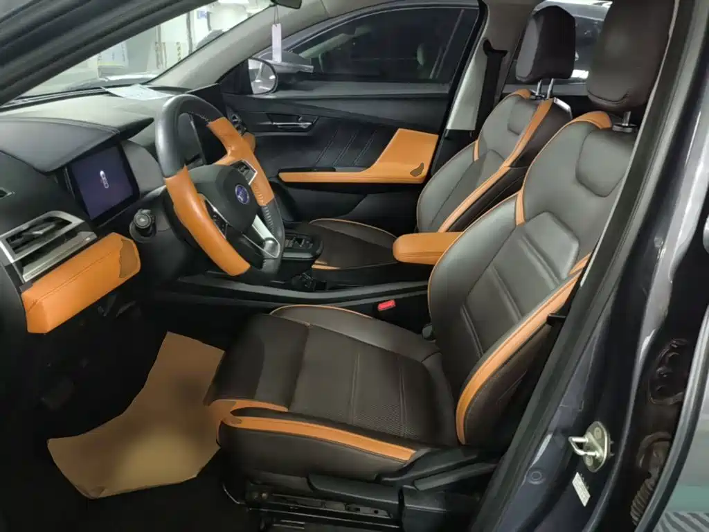 BYD e2 2021 2020 Upgraded Long Range Luxury