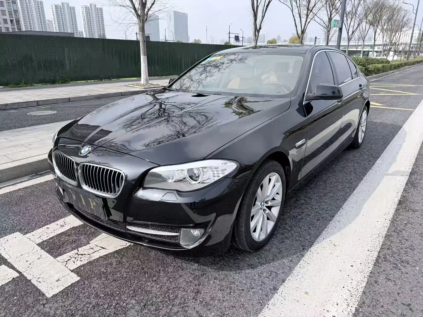 BMW 5 Series 2013 530Li Leadership