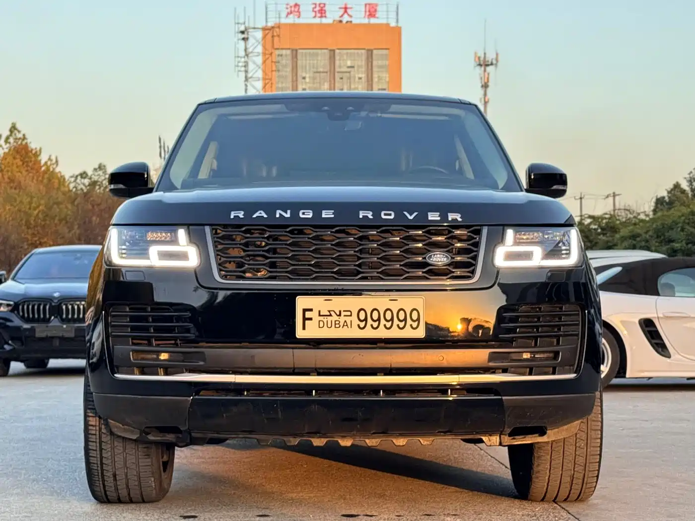 Land Rover Range Rover 2018 3.0 SC V6 Golden Age Edition фото 2