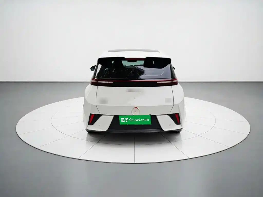 BYD Seagull 2026 2025 Smart Drive Edition 305km Vitality Version