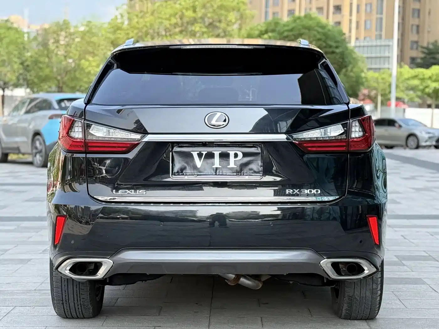 Lexus RX 2016 300 4WD Elegance Edition (China V) фото 4