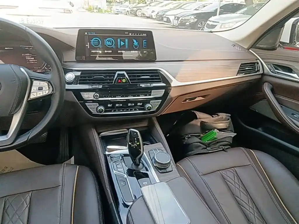 BMW 5 Series New Energy 2020 530Le Luxury Package фото 13
