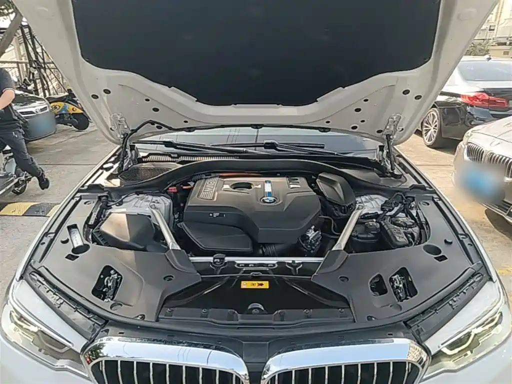 BMW 5 Series New Energy 2020 530Le Luxury Package фото 20