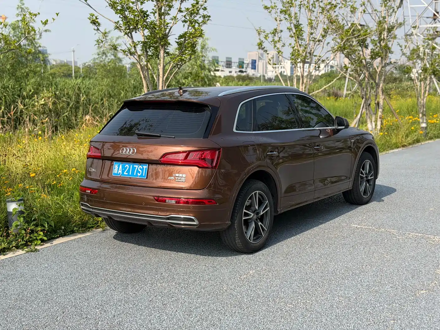 Audi Q5L 2018 45 TFSI Exclusive Fashion (China V) фото 4