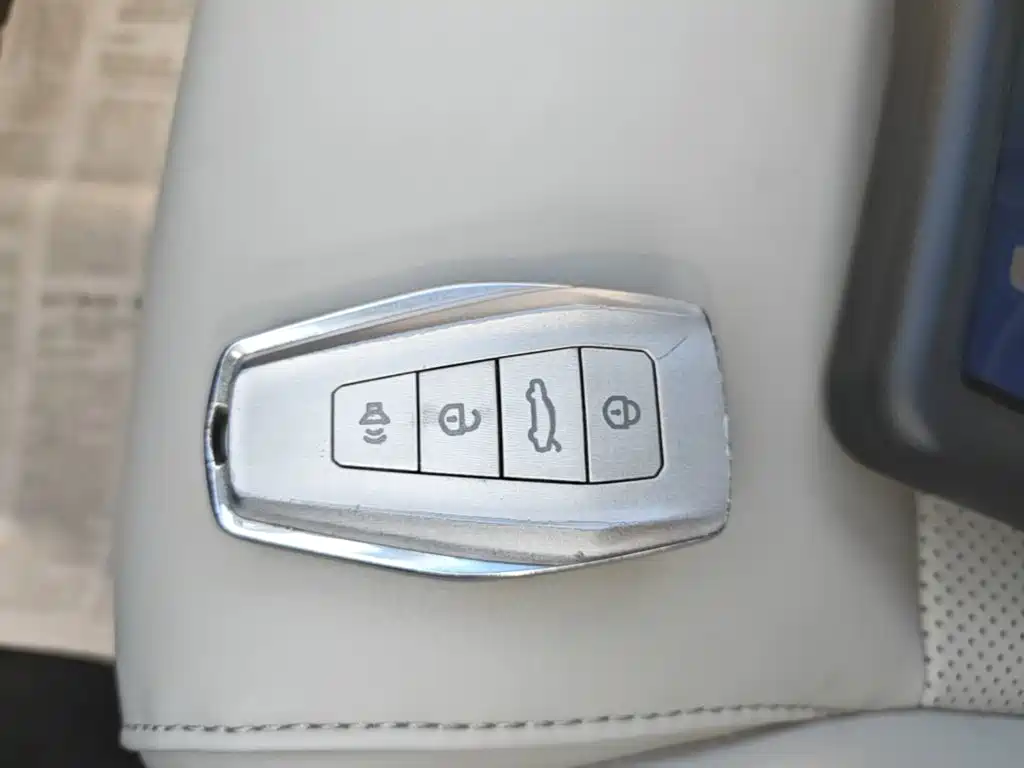 Фото 9 - Geely Binrui