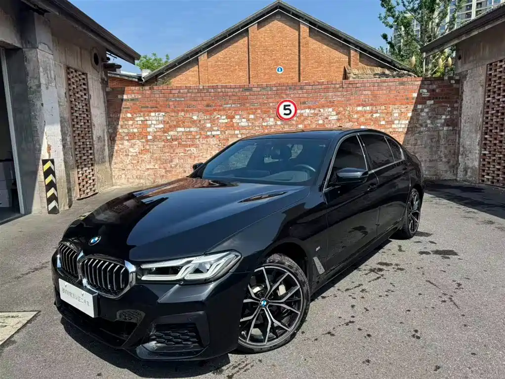 BMW 5 Series 2021 530Li Premium M Sport Package