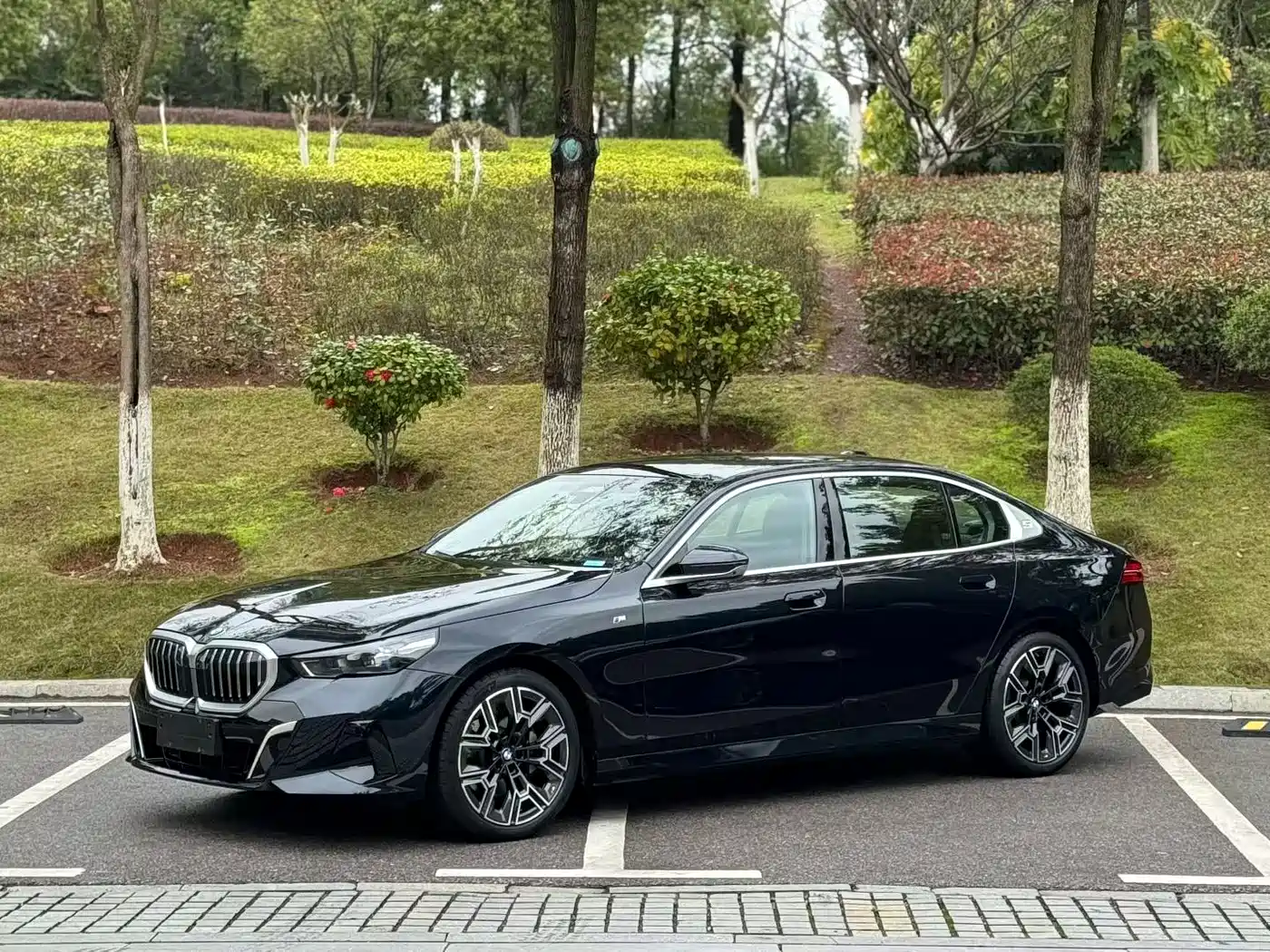 BMW 5 Series 2025 530Li Premium M Sport Package