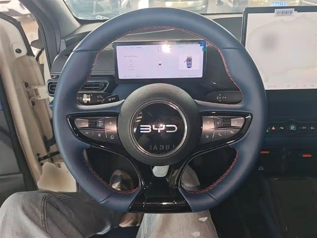BYD Seagull 2025 Smart Drive Edition 305km Freedom Version фото 7