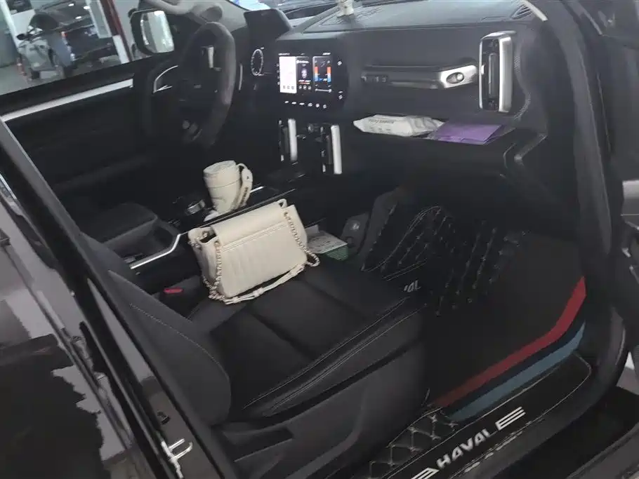 Haval Big Dog 2021 1.5T DCT 2WD Border Collie - Wangcai Edition фото 8