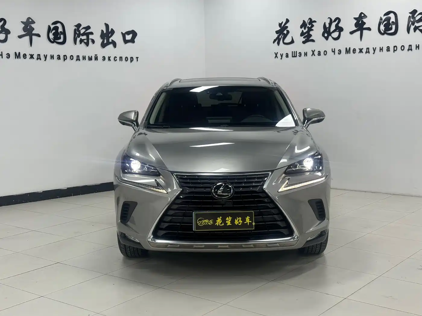LEXUS NX