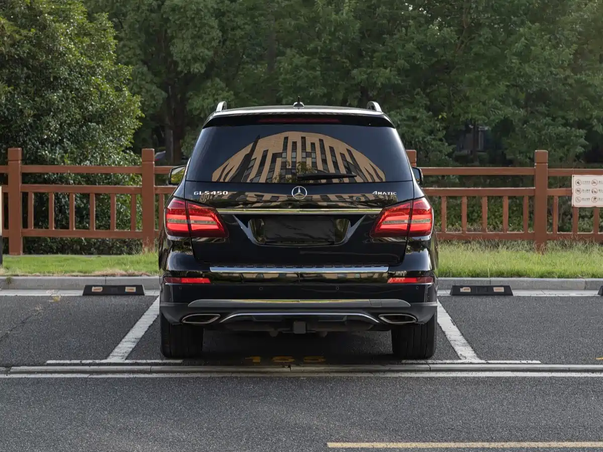 Фото 6 - Mercedes-Benz GLS