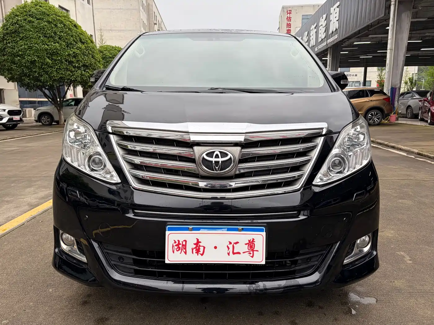 Toyota Alphard 2012 3.5L Luxury Edition фото 2