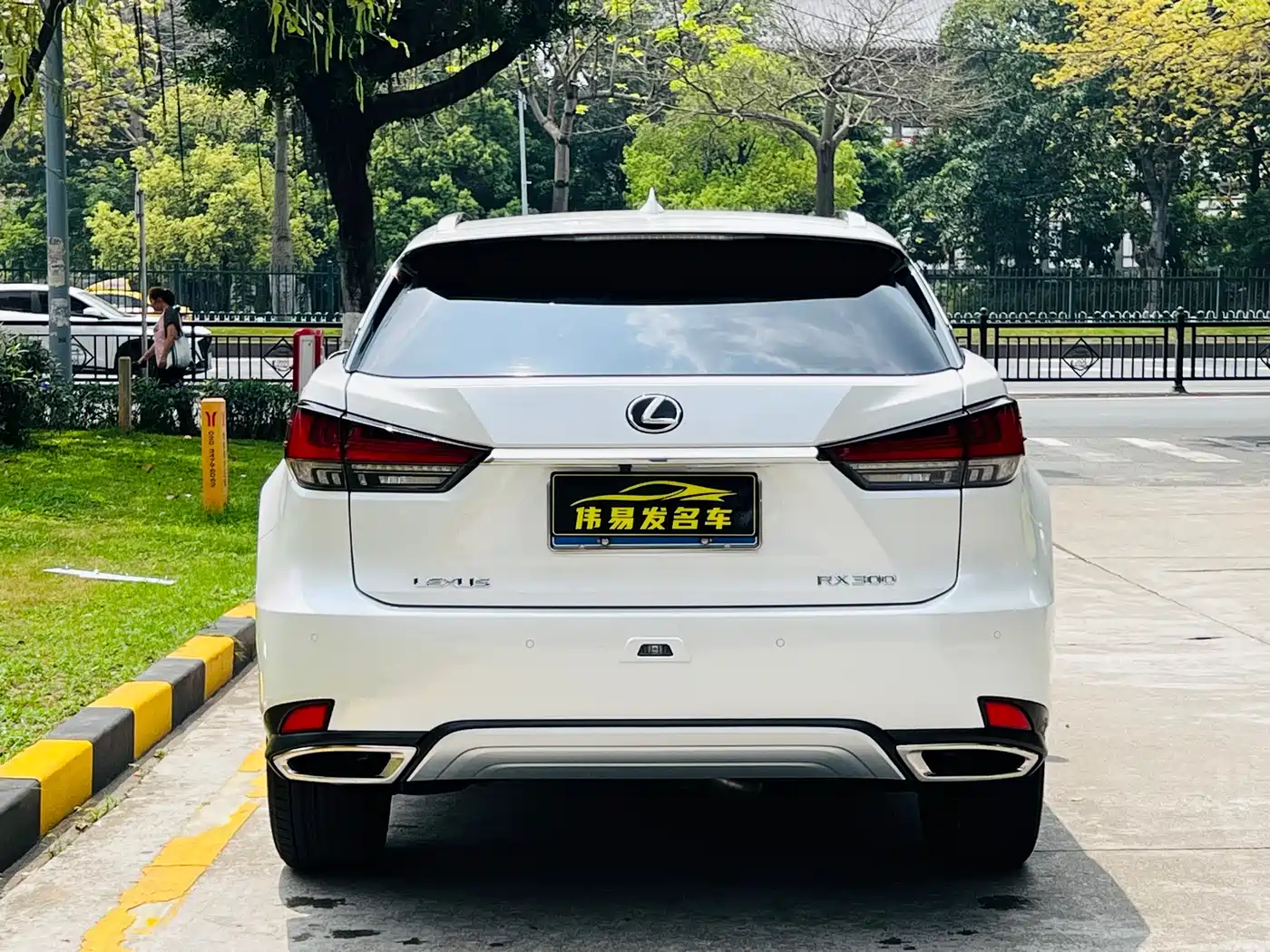 Lexus RX 2020 Facelift 300 AWD Elegance Edition фото 5