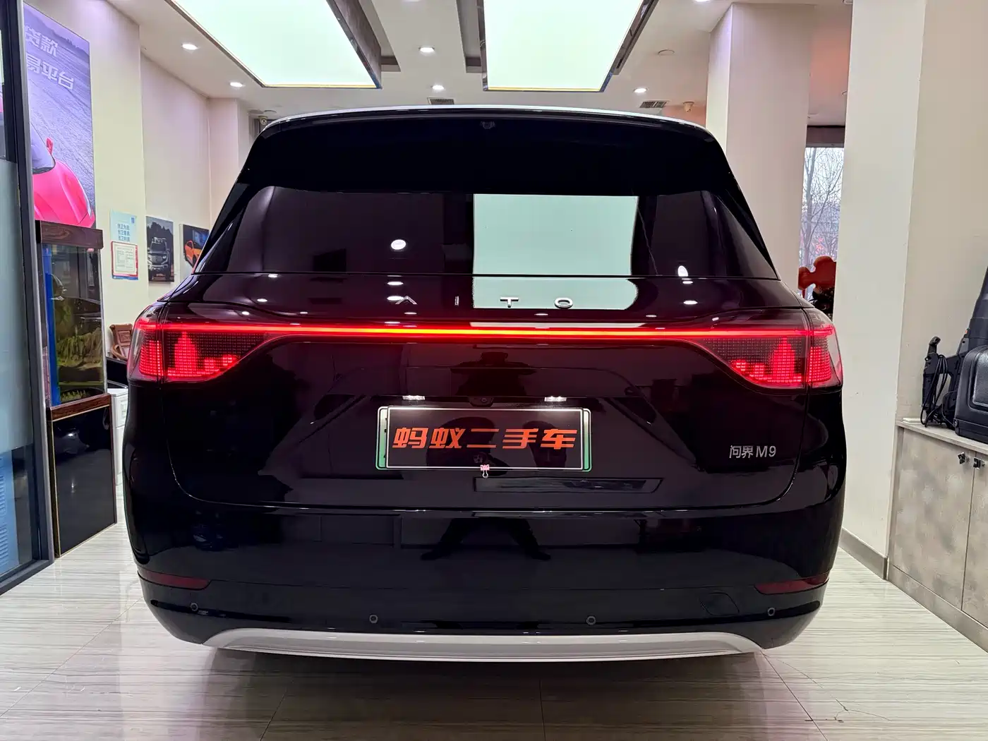 AITO Wenjie AITO M9 2024 Range Extender Ultra 52kWh 6-seater фото 6