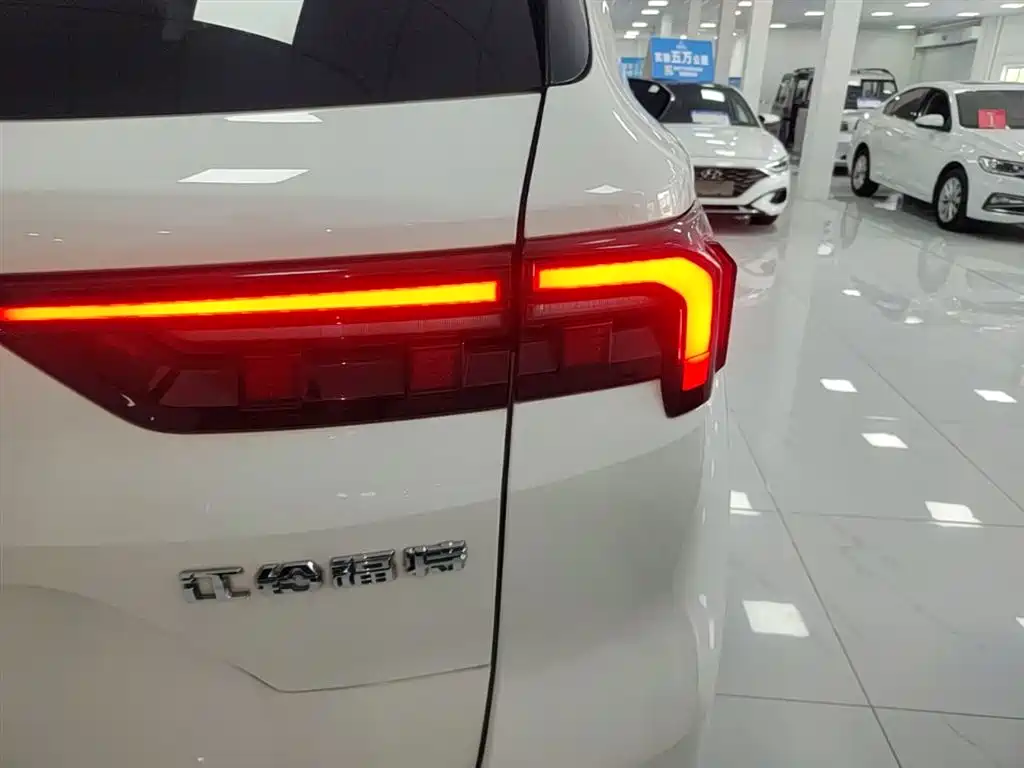 FORD LING RUI