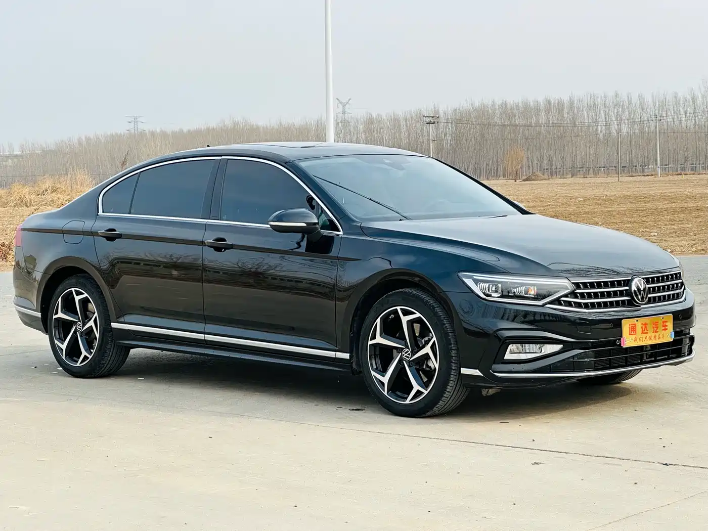 Volkswagen Magotan 2025 Facelift Public Edition 330TSI DSG Luxury фото 2