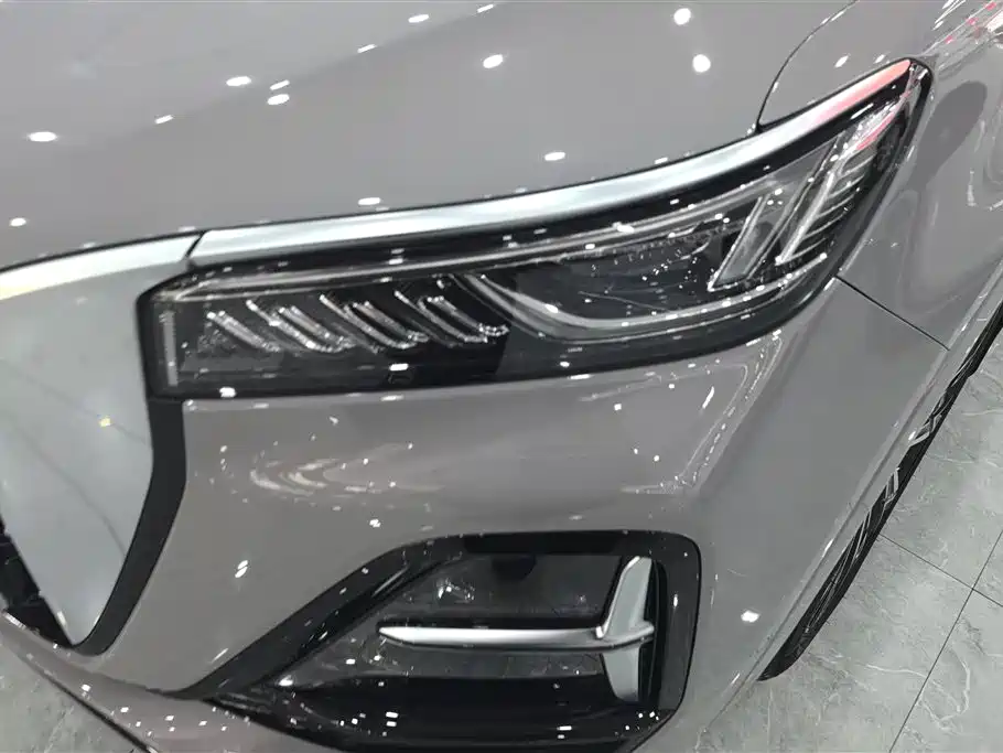 Hongqi HS5 2023 2.0T 4WD Flag Leader Pro фото 5