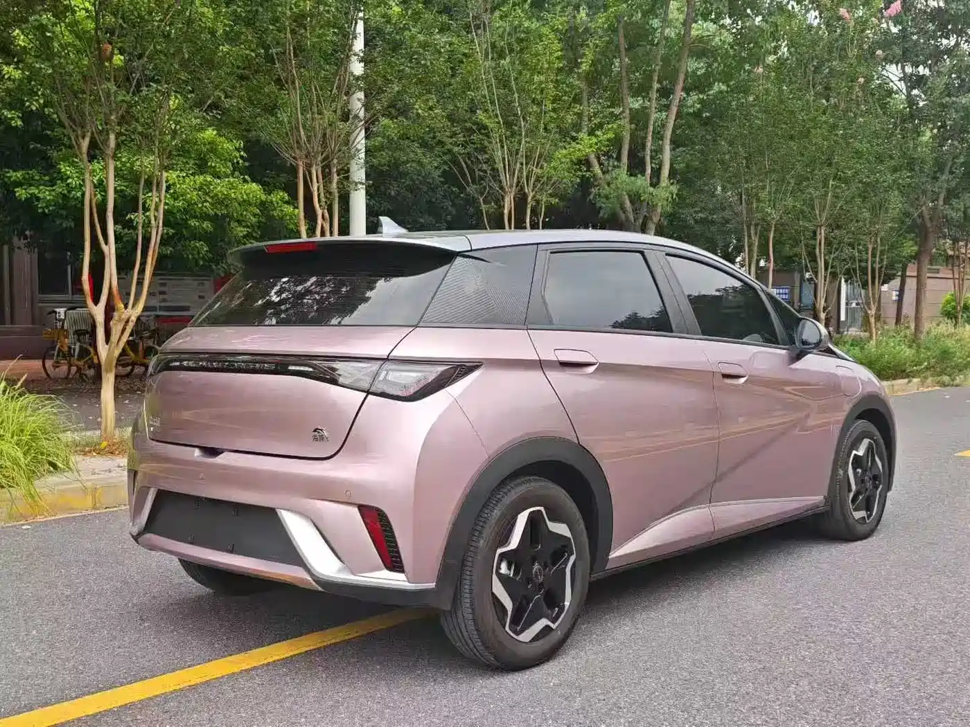 BYD Dolphin 2021 Model 405km Fashion Edition фото 7