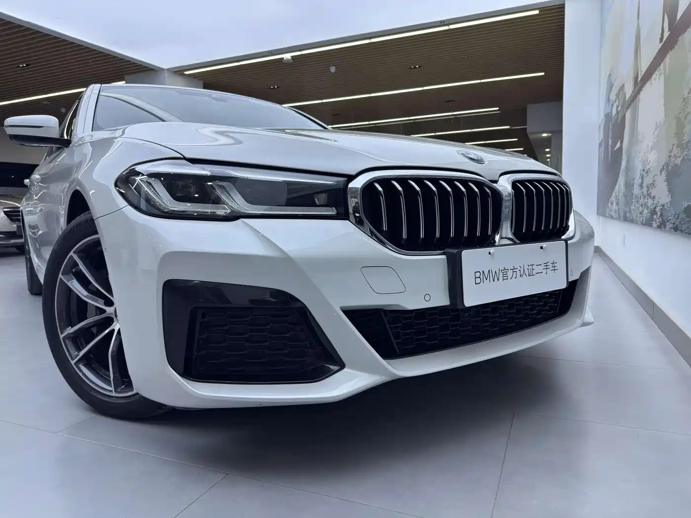 BMW 5 SERIES NEW ENERGY