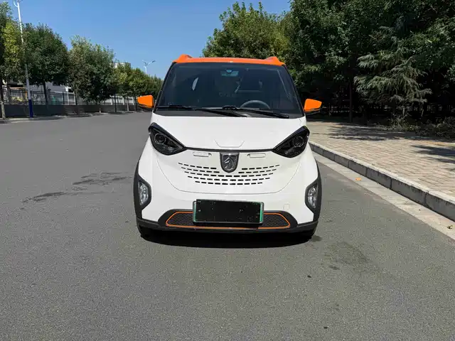  Baojun Baojun E100 2019 250KM Smart Edition