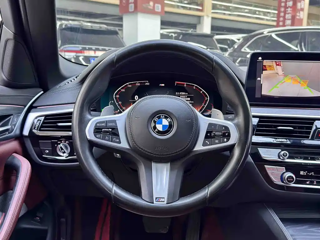 BMW 5 Series 2021 530Li Leading M Sport Package фото 14