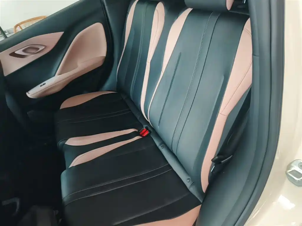 BYD Seagull 2025 Smart Drive Edition 305km Vitality Version фото 17