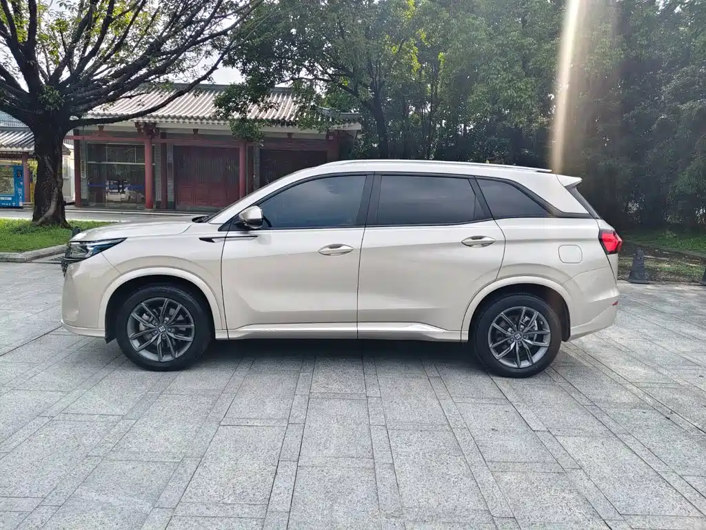 Landian E5 2024 2024 Glory Edition 100KM Premium Type 7-Seater
