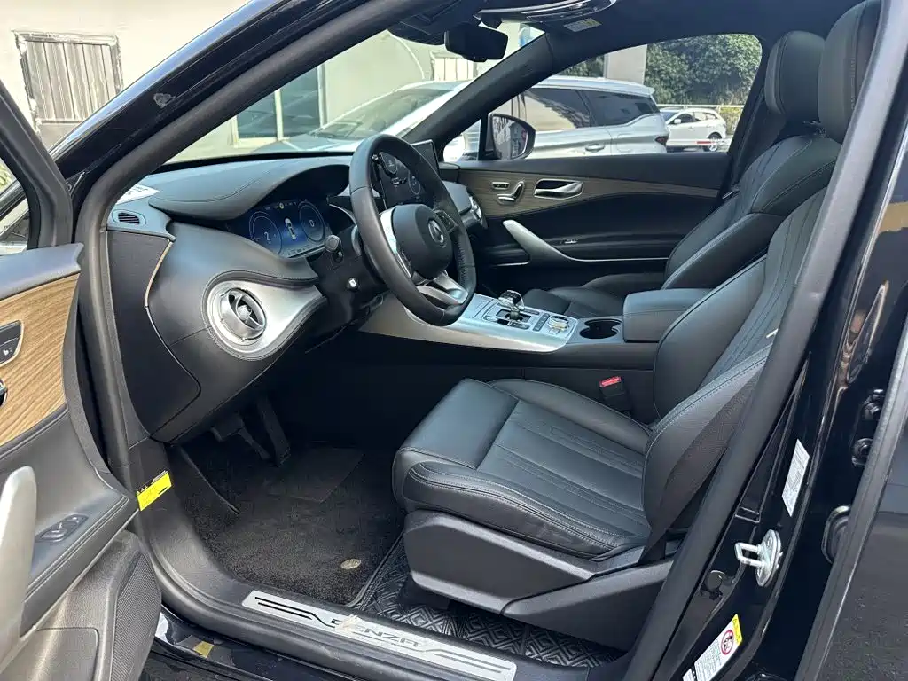 Denza X 2021 2020 PHEV Classic Edition