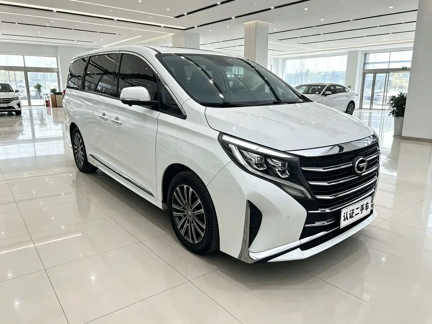 GAC Trumpchi Trumpchi M8 2021 Leading Show Series 390T Premium Edition фото 2