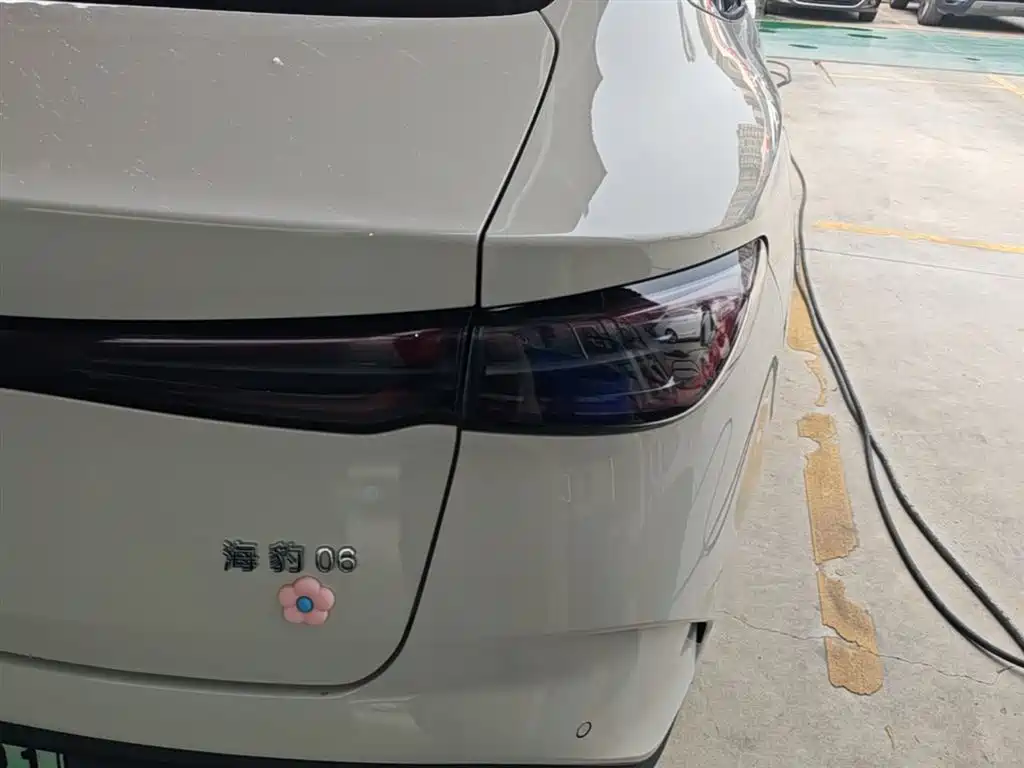 BYD Seal 06 New Energy 2024 DM-i 80KM Prestige фото 8