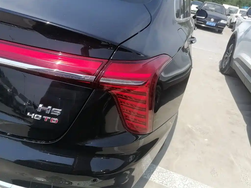 Hongqi H5 2023 2.0T Auto Smart Connect Flag Enjoy фото 8