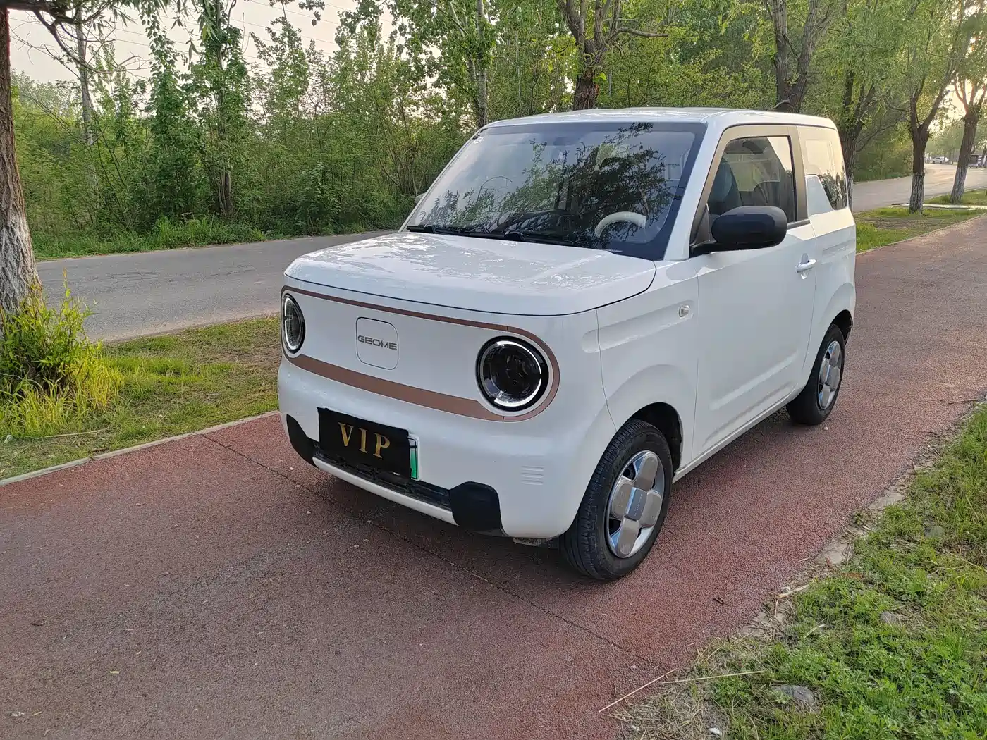 Geely Galaxy Panda 2024 Panda mini 200km Endurance Bear