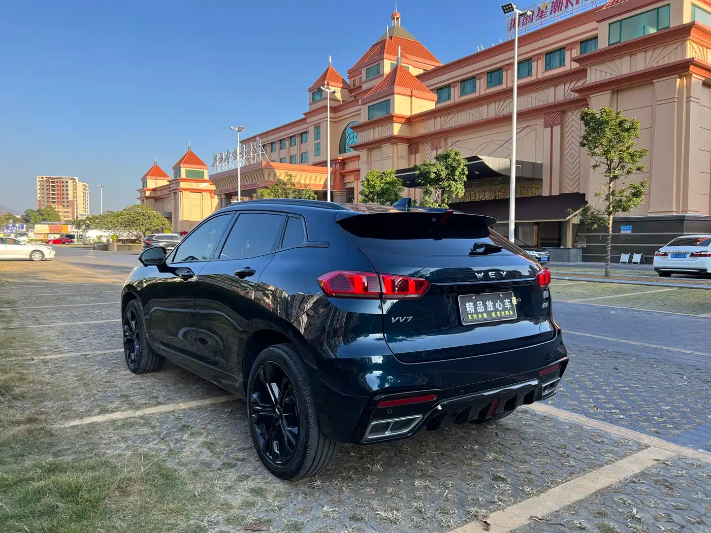 WEI PAI WEI BRAND VV7