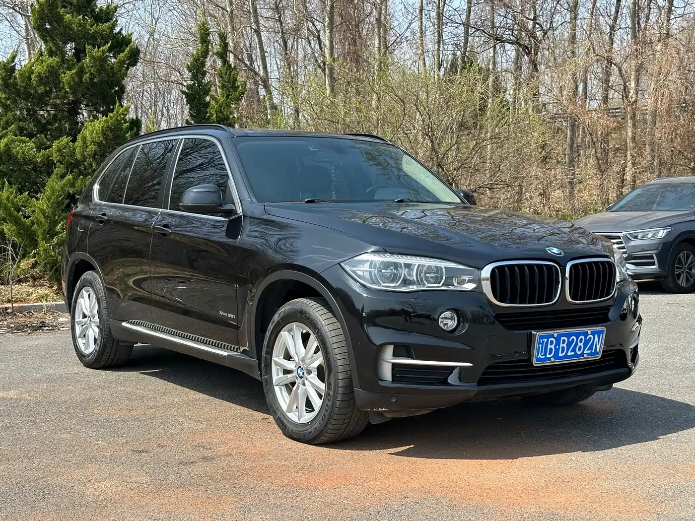 BMW X5 (Import) 2017 xDrive28i фото 3