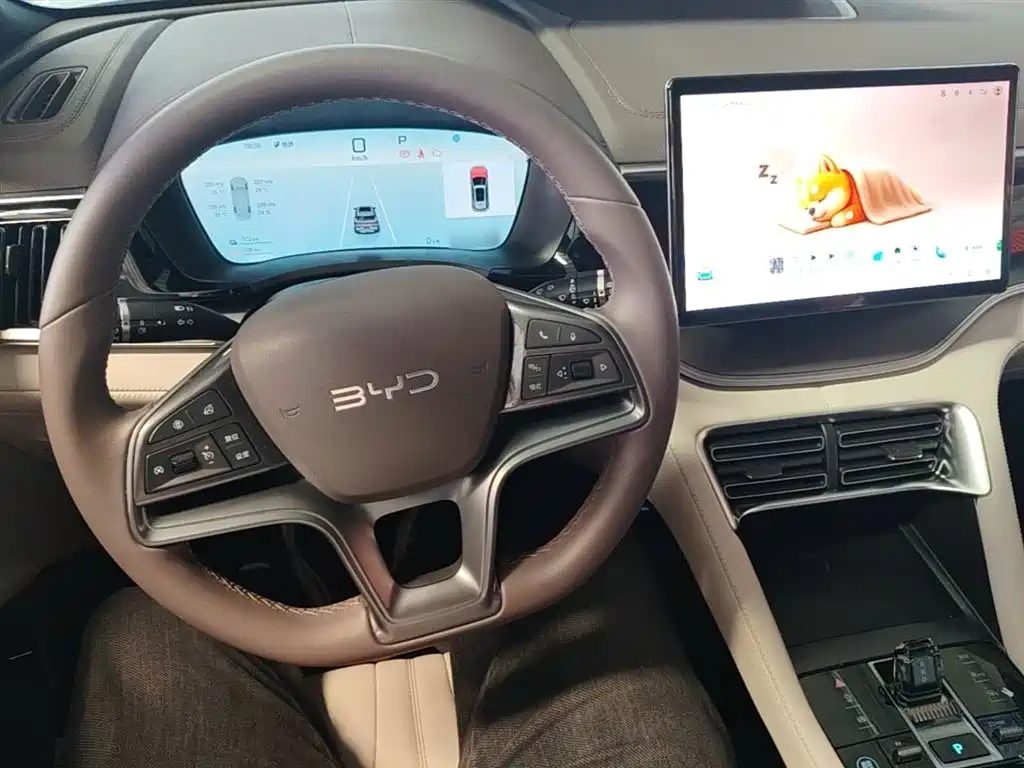 BYD Song PLUS PHEV 2025 DM-i 112KM Premium фото 10