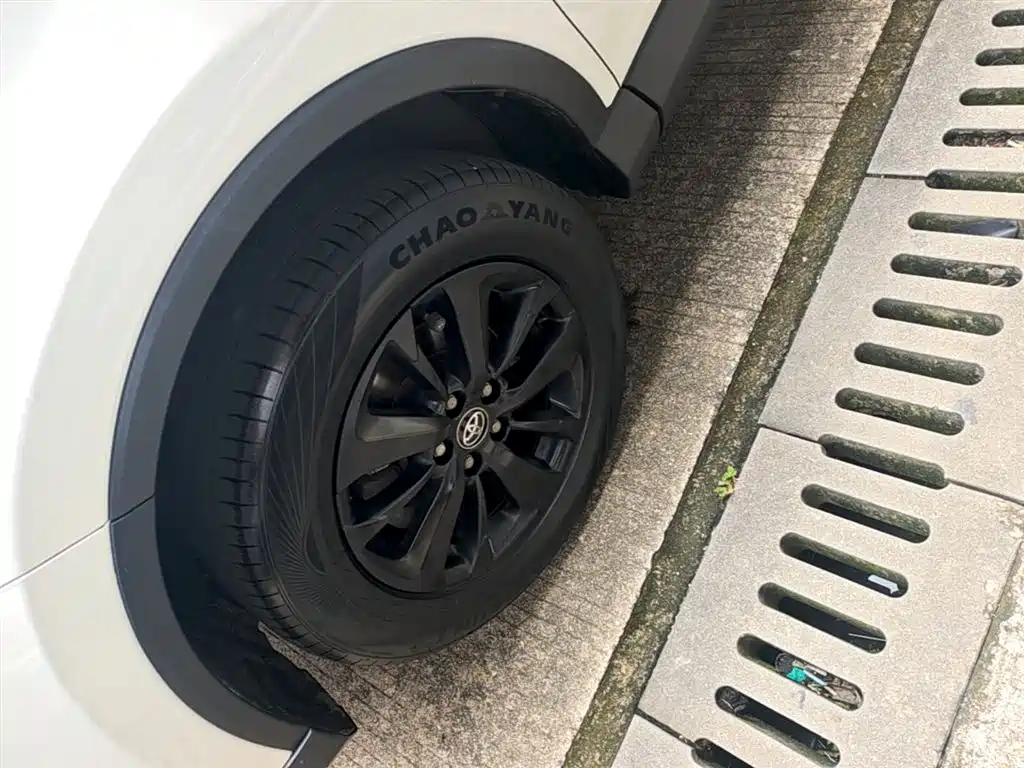 Toyota RAV4 Rongfang 2016 2.0L CVT 2WD Trend (China V) фото 23