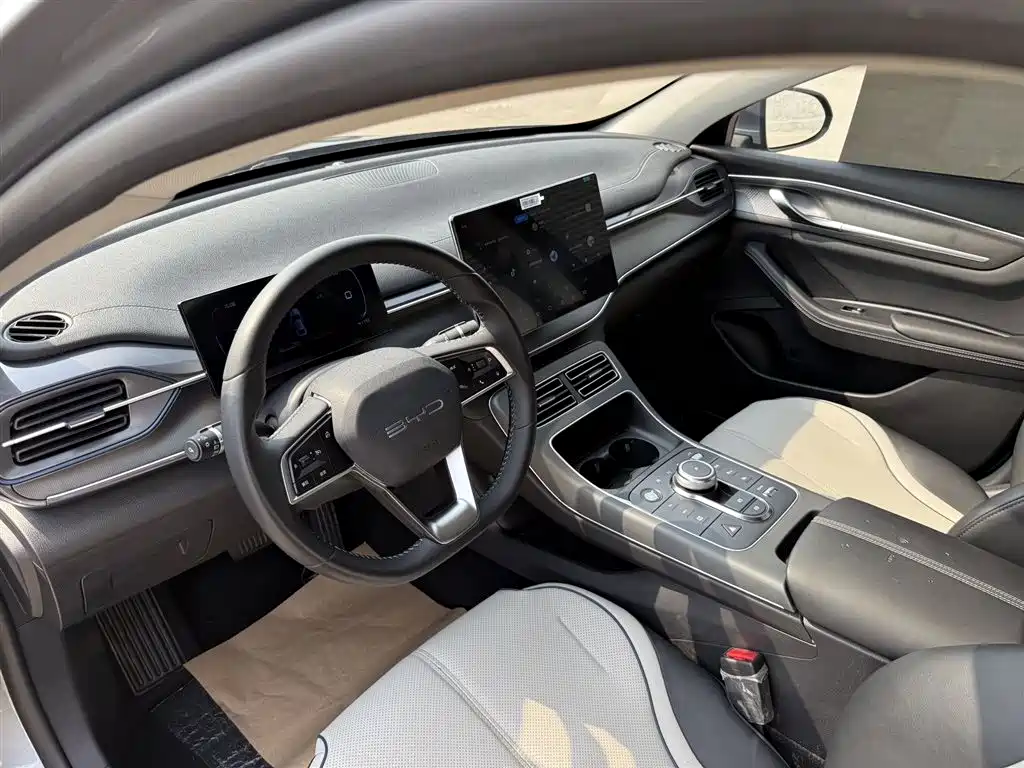 BYD Destroyer 05 2024 Glory Edition DM-i 55KM Luxury фото 11