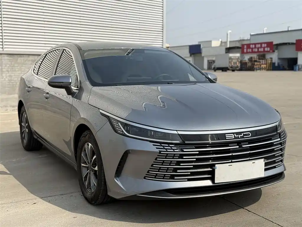 BYD Destroyer 05 2024 Glory Edition DM-i 55KM Luxury фото 3
