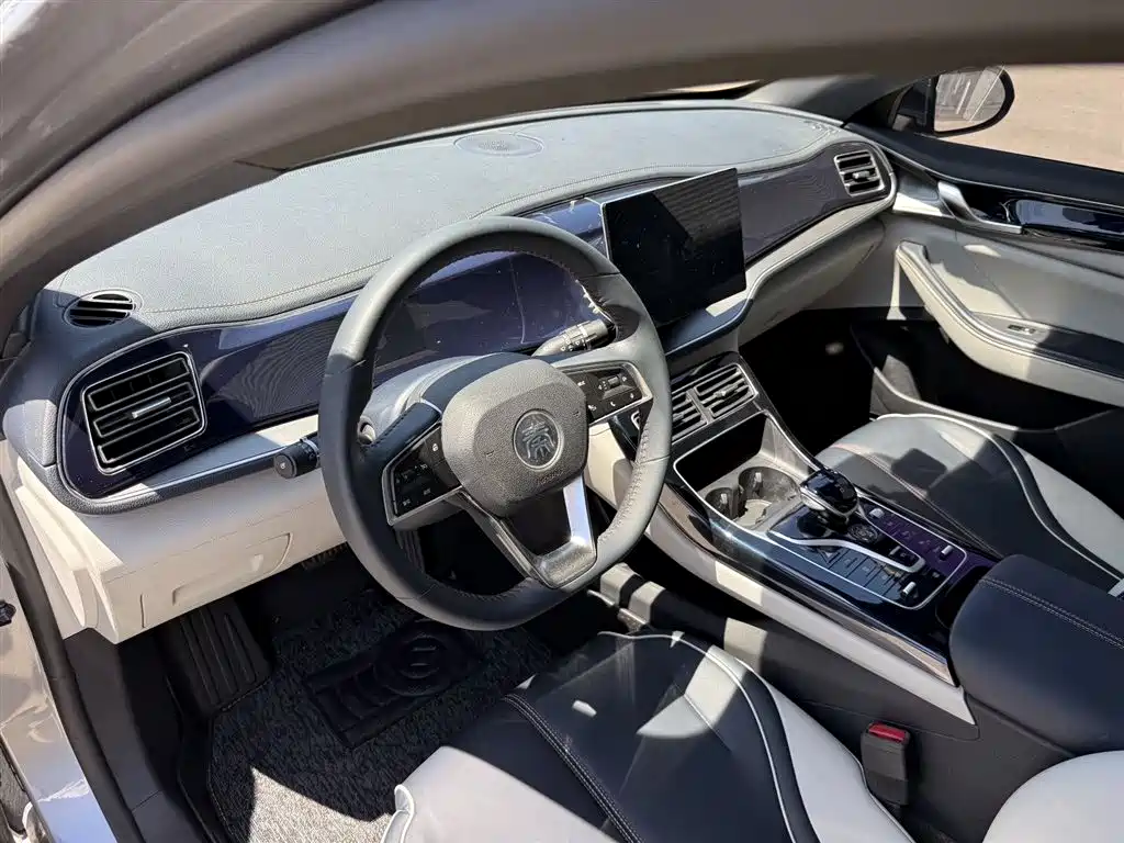 BYD Qin PLUS 2021 DM-i 55KM Flagship фото 10