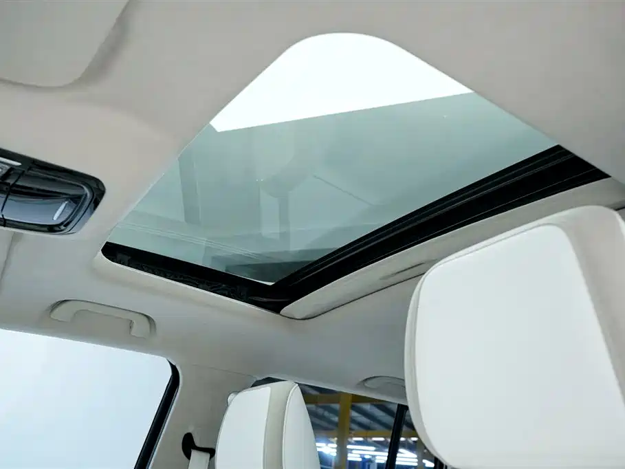 TANK CO CREATION TANK 300