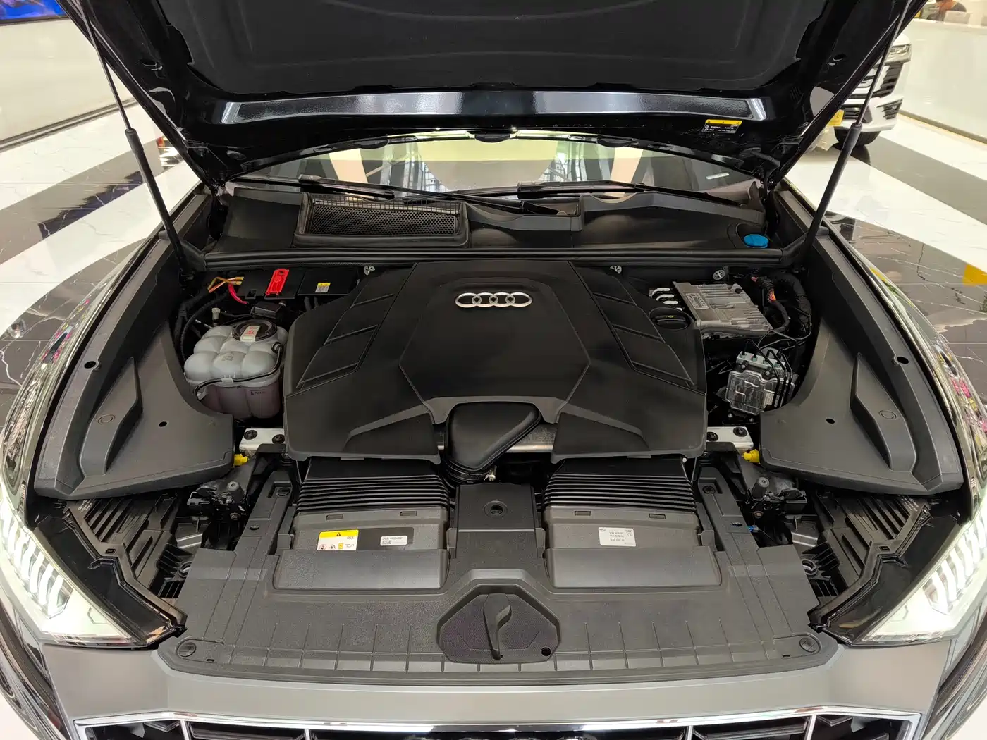 Audi Q8 2022 55 TFSI Luxury Dynamic фото 38
