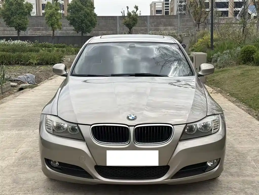 BMW 3 Series 2010 318i Progressive фото 2