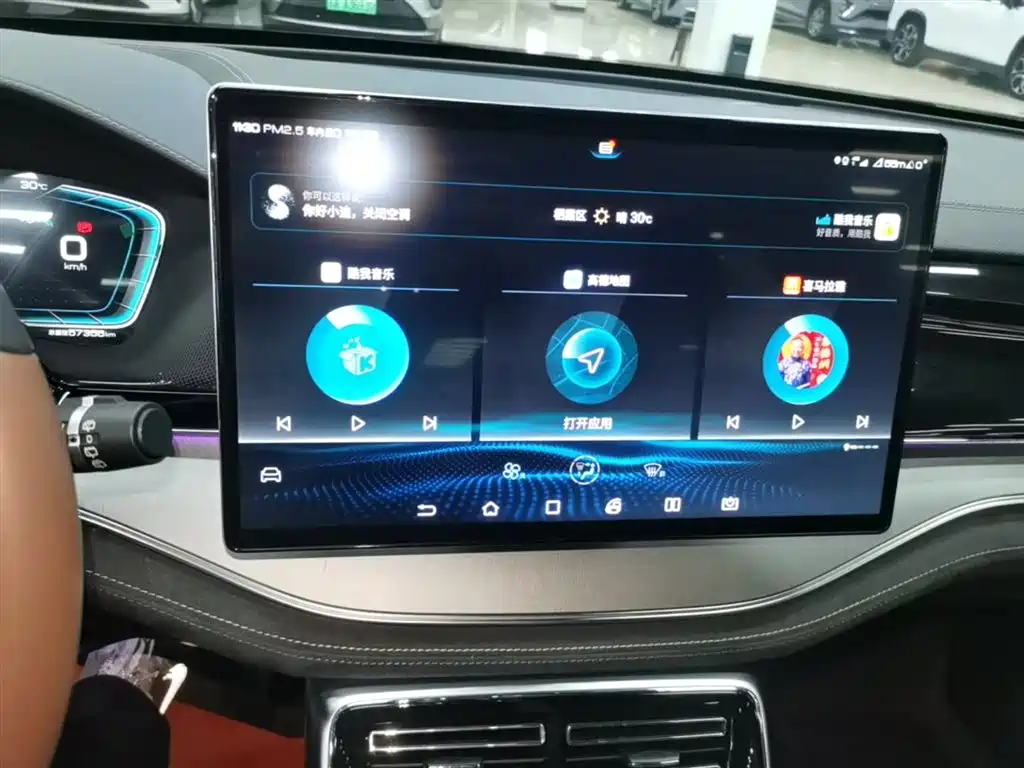 BYD Tang New Energy 2021 DM-i 112KM Honor фото 13