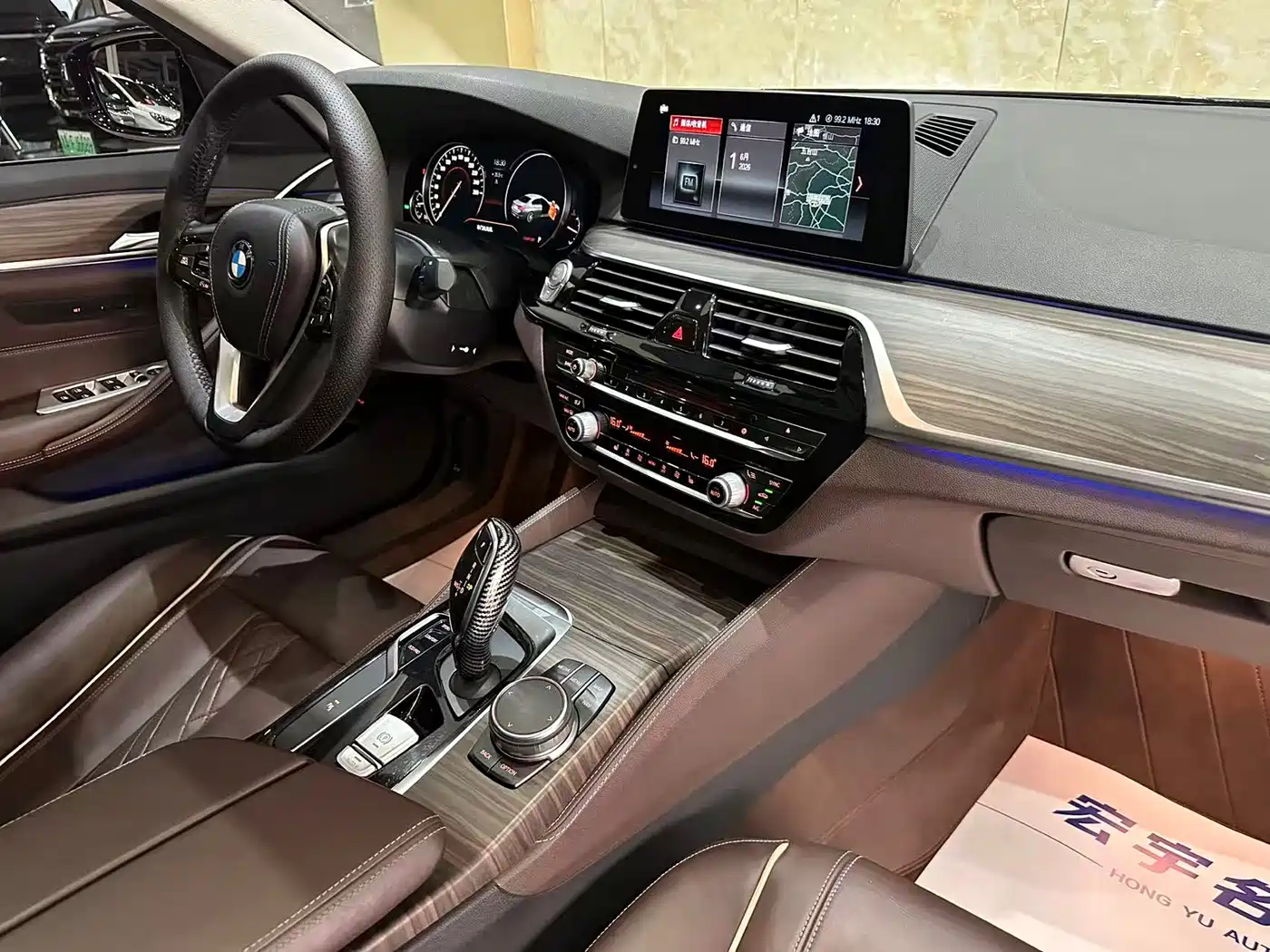 BMW 5 Series 2018 530Li xDrive Luxury Package фото 12