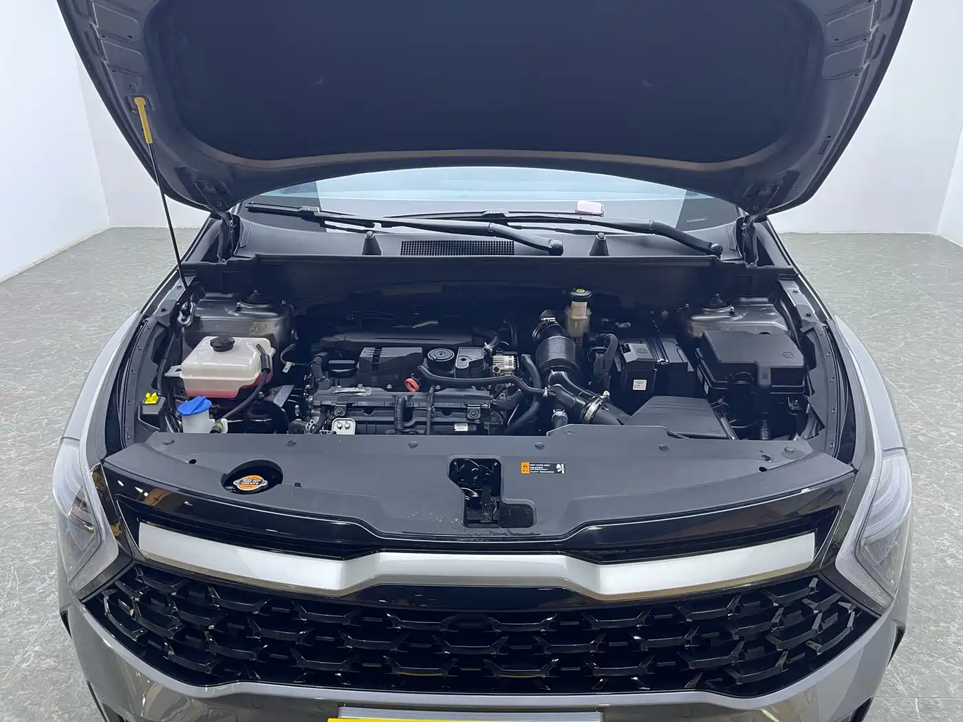 KIA LION PLATINUM EXPANDS THE WORLD