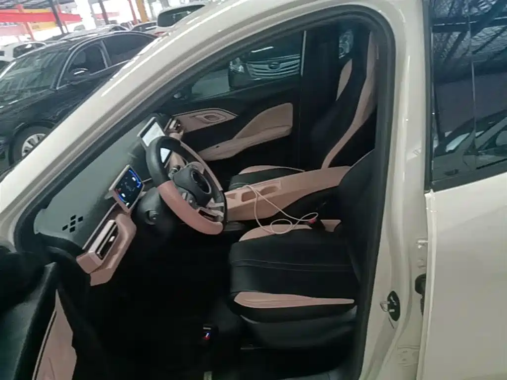 BYD Seagull 2024 Glory Edition 305km Vitality Edition фото 15