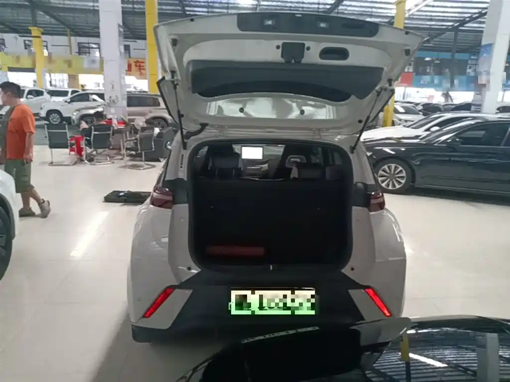 BYD Seagull 2024 Glory Edition 305km Vitality Edition фото 19