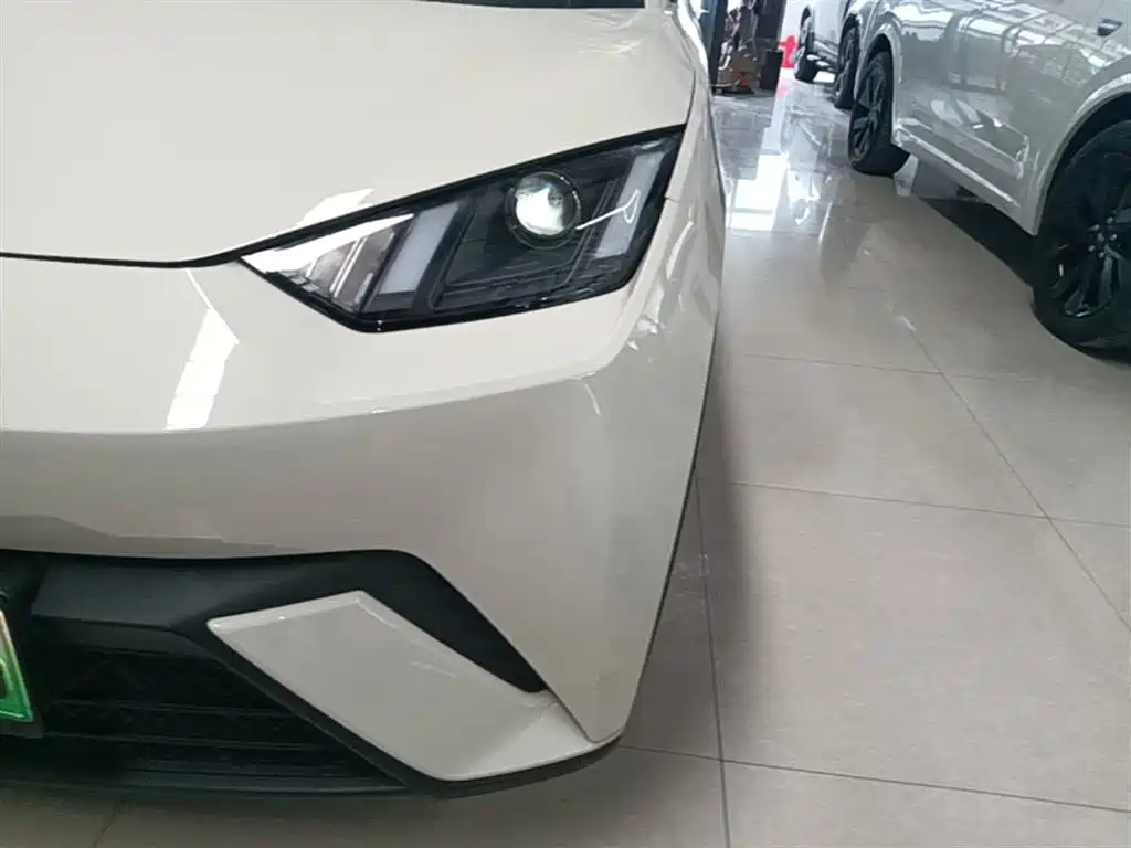 BYD Seagull 2024 Glory Edition 305km Vitality Edition фото 24