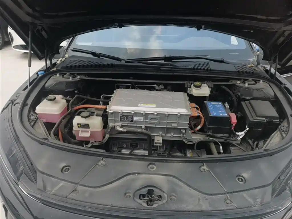 BYD Han 2021 EV Standard Range Luxury фото 20