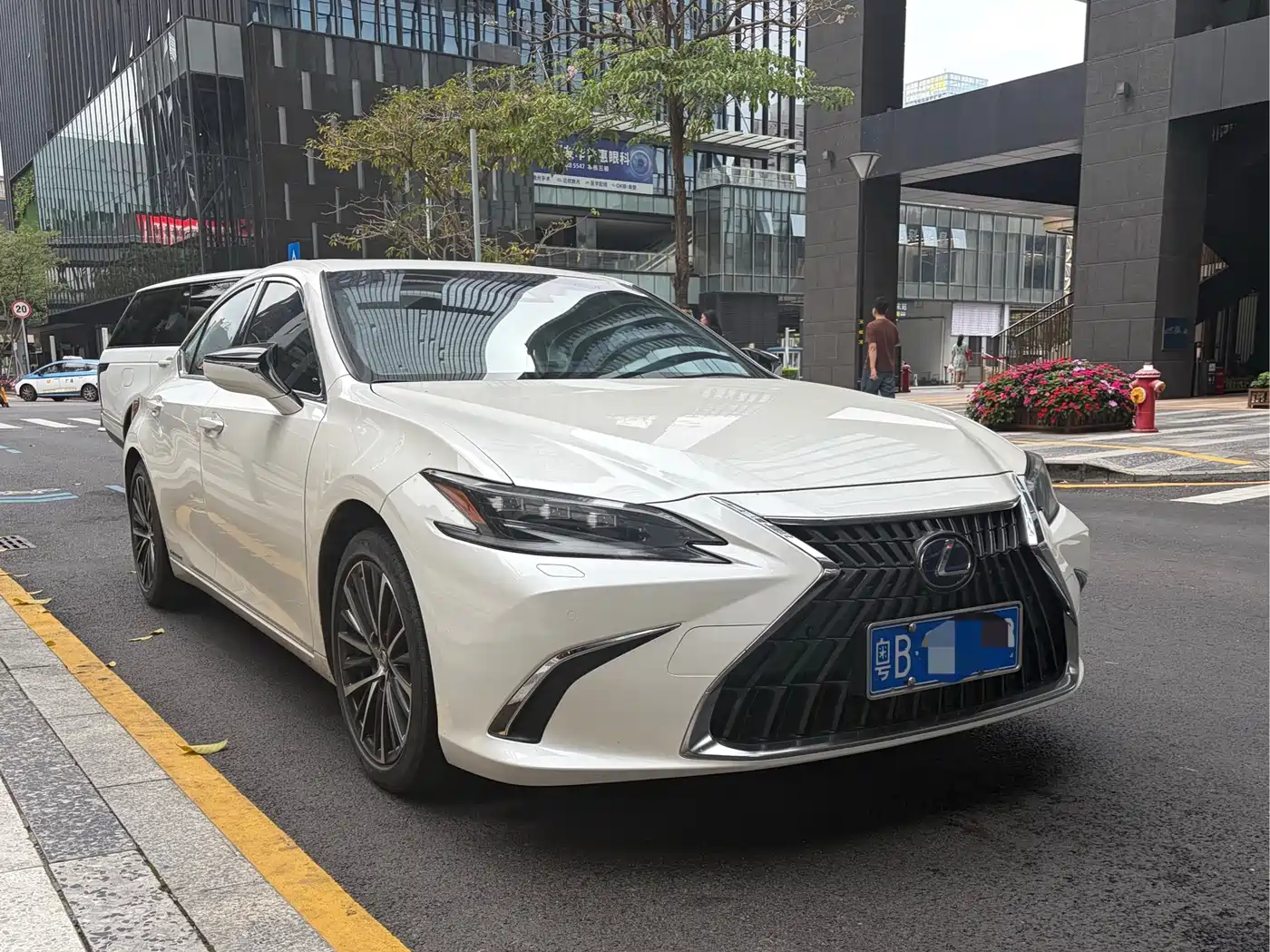 Lexus ES 2021 300h Luxury Edition